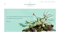 Desktop Screenshot of ellermanndesign.com
